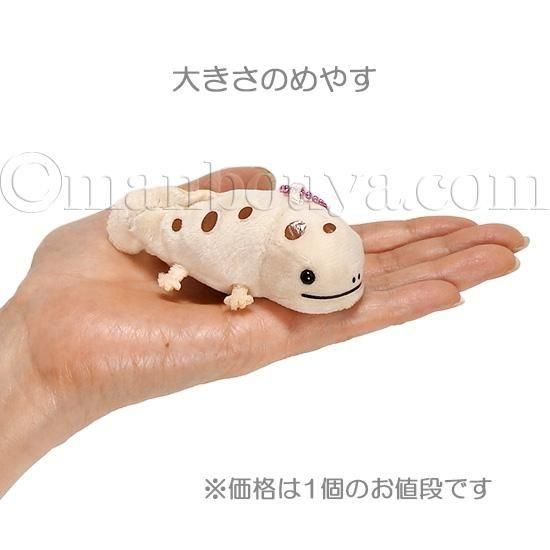 オオサンショウウオ ぬいぐるみ アミューズ ぷちまる アニマルズ