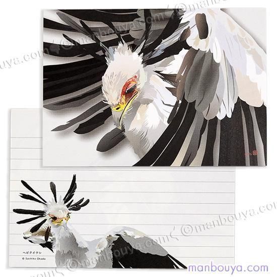 إӥ亮 å Ļ   ʸ˼ Ģ Secretarybird