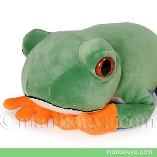 アカメアマガエル　ぬいぐるみセット アニマニア アカメアマガエル ぬいぐるみ カエル テイクオフ