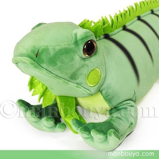 イグアナ ぬいぐるみ グリーンイグアナ テイクオフ takeoff アニマニア