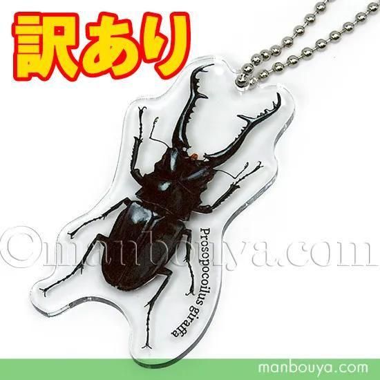 <img class='new_mark_img1' src='https://img.shop-pro.jp/img/new/icons2.gif' style='border:none;display:inline;margin:0px;padding:0px;width:auto;' />ۥꥢ  å 塞 륭ۥ  եΥꥯ塞