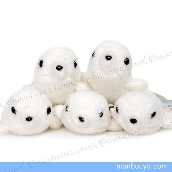 <img class='new_mark_img1' src='https://img.shop-pro.jp/img/new/icons2.gif' style='border:none;display:inline;margin:0px;padding:0px;width:auto;' />饷 ̤  ²ۥå A-SHOW ɾ Ӥ 餷 6c 1