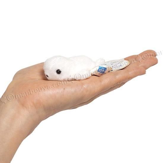 アザラシ ぬいぐるみ 小さい 水族館グッズ A-SHOW 栄商 ちびだま