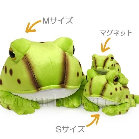 10%OFF】カエル ぬいぐるみ ベルツノガエル アニマニア 3サイズ