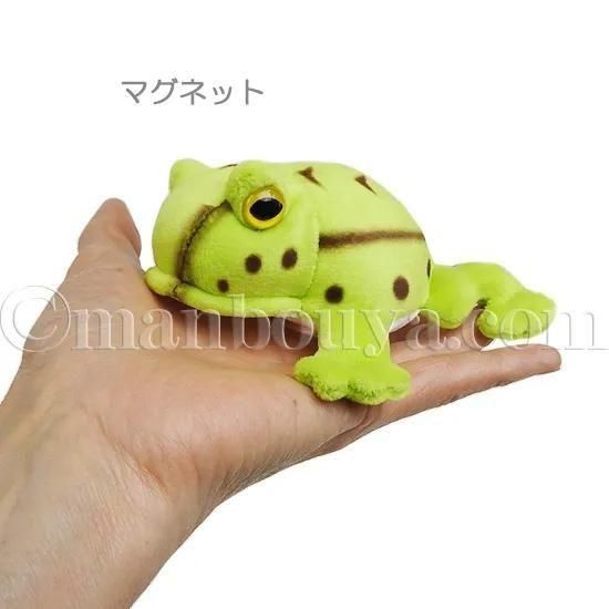 カエル ぬいぐるみ 10%OFF カエル ぬいぐるみ ベルツノガエル アニマニア 3サイズセット