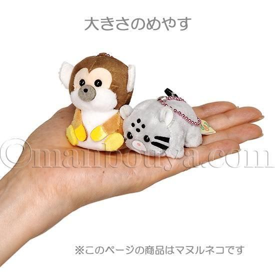マヌルネコ ぬいぐるみ 猫 ぷちまる アミューズ AMUFUN