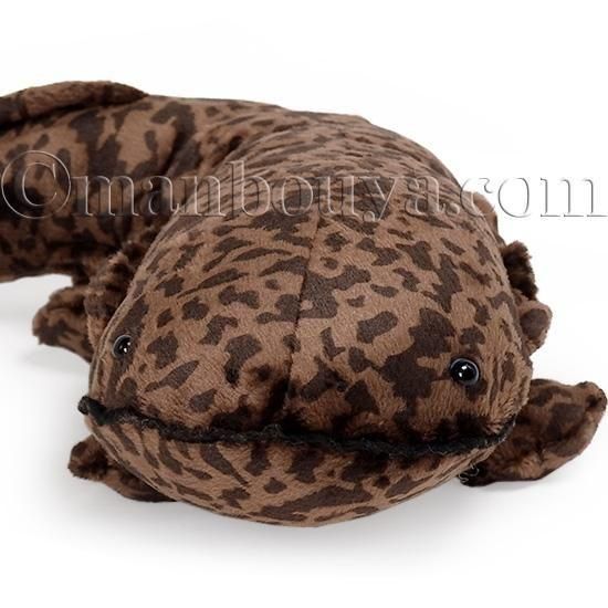 オオサンショウウオ ぬいぐるみ かわいい 大山椒魚 Sサイズ 35cm