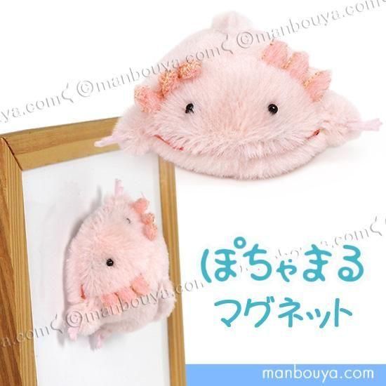 <img class='new_mark_img1' src='https://img.shop-pro.jp/img/new/icons2.gif' style='border:none;display:inline;margin:0px;padding:0px;width:auto;' />ѡ롼ѡ ̤ 滶 ݤޤ ޥͥå ᥭ 󥷥祦 6.5cm ƣǥ󸦵