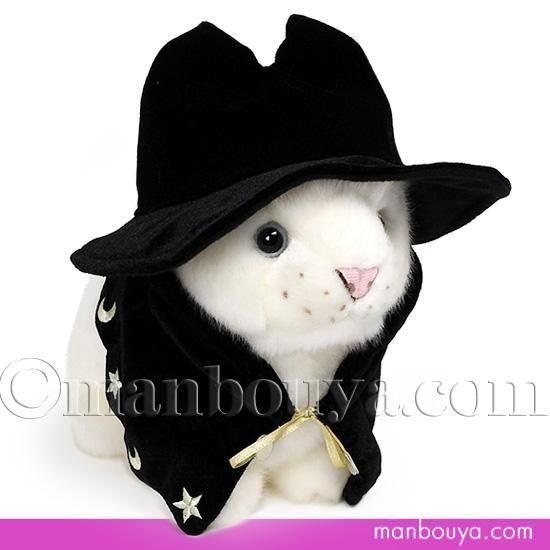 <img class='new_mark_img1' src='https://img.shop-pro.jp/img/new/icons2.gif' style='border:none;display:inline;margin:0px;padding:0px;width:auto;' />5%OFF 饤 ̤ ϥ ץ  塼 CUTE ٥ӡۥ磻ȥ饤 Ω S 20cm