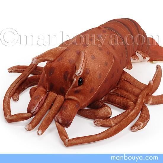 エビぬいぐるみ 51OtZpvAhSL._AC_UL210_SR210,