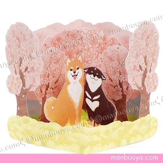 <img class='new_mark_img1' src='https://img.shop-pro.jp/img/new/icons2.gif' style='border:none;display:inline;margin:0px;padding:0px;width:auto;' />꡼ƥ󥰥 ¿Ū  Ƹ  ΩΥ 餷 ̥ӡ