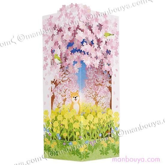 <img class='new_mark_img1' src='https://img.shop-pro.jp/img/new/icons2.gif' style='border:none;display:inline;margin:0px;padding:0px;width:auto;' />꡼ƥ󥰥 ¿Ū  Ƹ  ΩΥ ȺڤβȪ ܥۡޡ