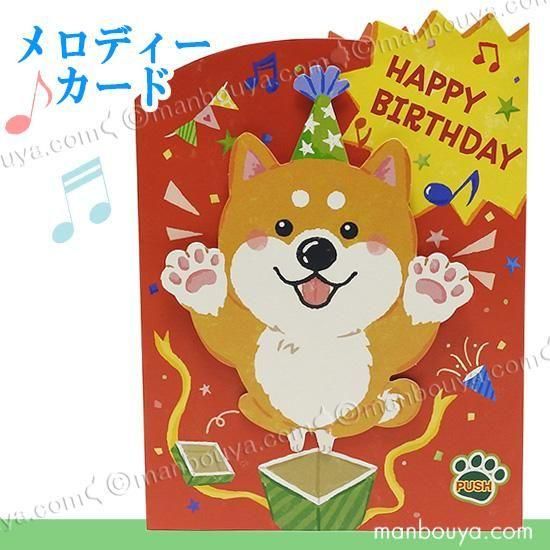 <img class='new_mark_img1' src='https://img.shop-pro.jp/img/new/icons2.gif' style='border:none;display:inline;margin:0px;padding:0px;width:auto;' /> Сǡ  Ĥ ư 르륫  ܥۡޡ