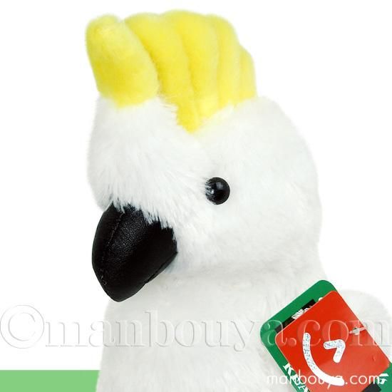 オーロラ・ワールド ネイチャーキッズリアル オオバタン