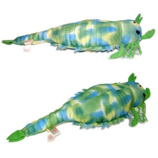 海洋生物のぬいぐるみ Amazon.co.jp: ZHONGXIN MADEリアルオサガメぬいぐるみ海爬虫類