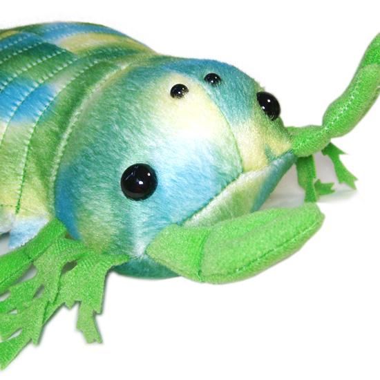 海洋生物のぬいぐるみ Amazon.co.jp: ZHONGXIN MADE エイぬいぐるみ動物海洋生物淡水