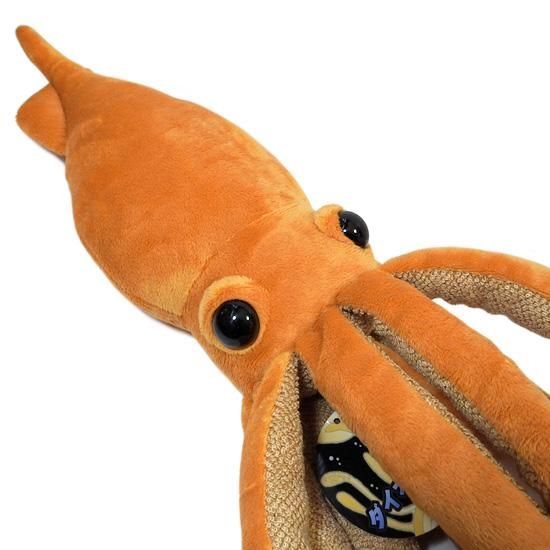 日本最大級 ダイオウイカのぬいぐるみ】深海生物◇A-SHOW（栄商）◇大王烏賊 ぬいぐるみ