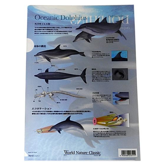 イルカグッズ 文房具 綺麗でリアルなイラスト クリアファイル World Nature Classic ドルフィン 海の雑貨 水族館グッズ 動物ぬいぐるみ通販ショップ まんぼう屋ドットコム