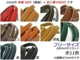 Х졼 ե꡼ 10 ߤζҡ170cm 1.8mm 1