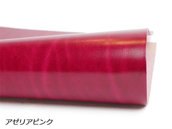 ミニ6 システム手帳 フルカバー ルガトショルダー アザレア