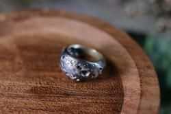 misc.aiMoon-silver