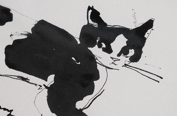 保護猫ドローイング作品「Cat drawing 2023.Fab.23(黒白 横