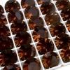 ơ ե art.1102 SMOKED TOPAZ ss604/12gross