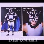 タイガーマスク-TIGER MASK- - プロレスマスク・グッズ等の専門
