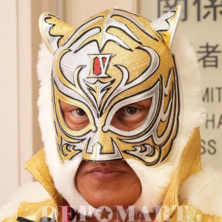 オンラインショップ】 Tiger Mask伊達直人ヒーロ☆タイガーマスク 