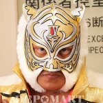 タイガーマスク-TIGER MASK- - プロレスマスク・グッズ等の専門店【デポマート －DEPOMART－】です。  人気の商品からレアな商品まで当店独自の商品展開にて皆様をお待ちしております。