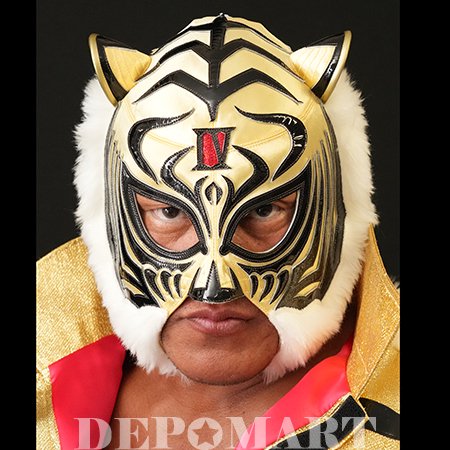 8,800円タイガーマスク