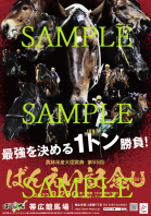 <img class='new_mark_img1' src='https://img.shop-pro.jp/img/new/icons14.gif' style='border:none;display:inline;margin:0px;padding:0px;width:auto;' />55󡡤Ф󤨤ǰݥ