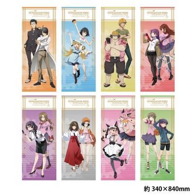 <img class='new_mark_img1' src='https://img.shop-pro.jp/img/new/icons64.gif' style='border:none;display:inline;margin:0px;padding:0px;width:auto;' />ʪ쥷꡼STEINS;GATE<br>ڥե 