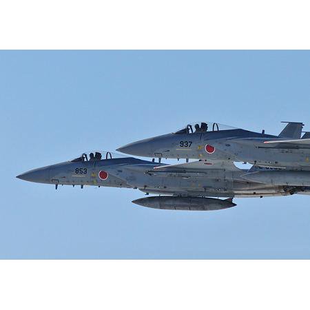 航空自衛隊 第２０３飛行隊 Ｆ－１０４Ｊ 使用時ショルダーワッペン