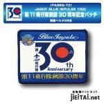 航空自衛隊パッチ 第301飛行隊 ファントムF4EJ改ワッペン