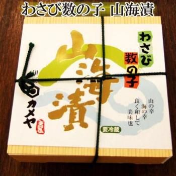 蘆ӿλҡҡ  蘆ӡλҡӤΤ䡡Ʀ