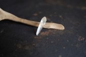 muule / Himalayan crystal pierce