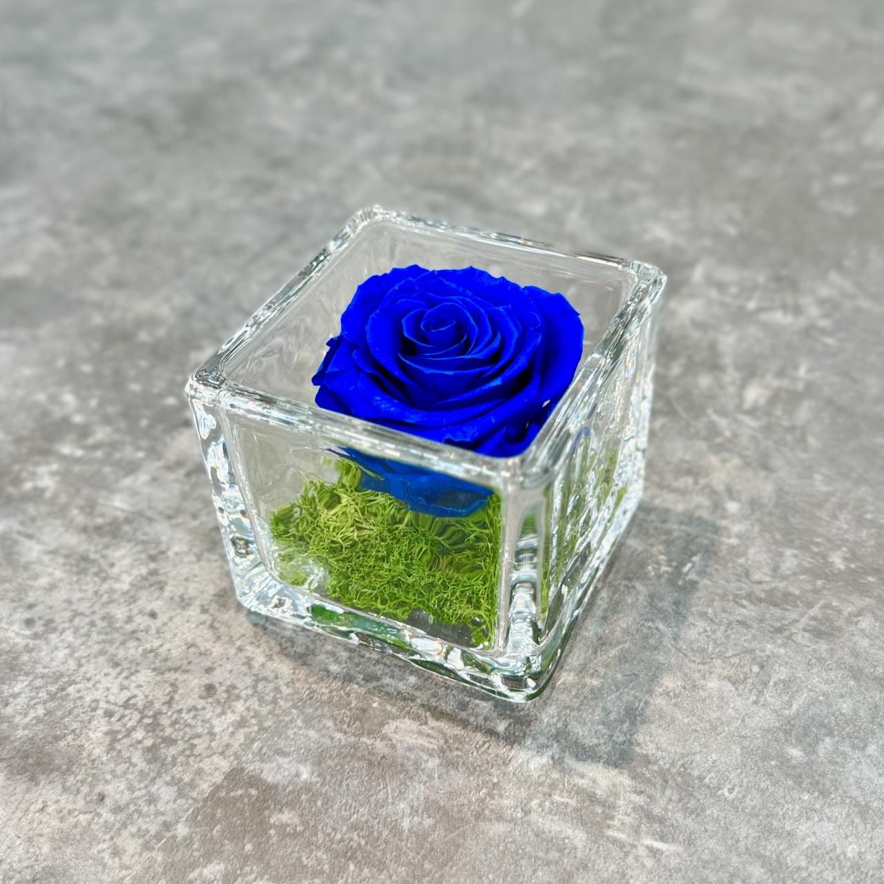 ץꥶ֥ɥեGLASS CUBEʥ֥롼ˡ