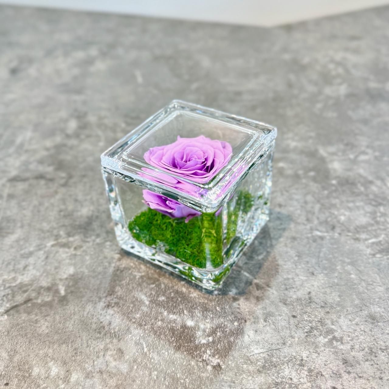 ץꥶ֥ɥեGLASS CUBEʥѡץˡ