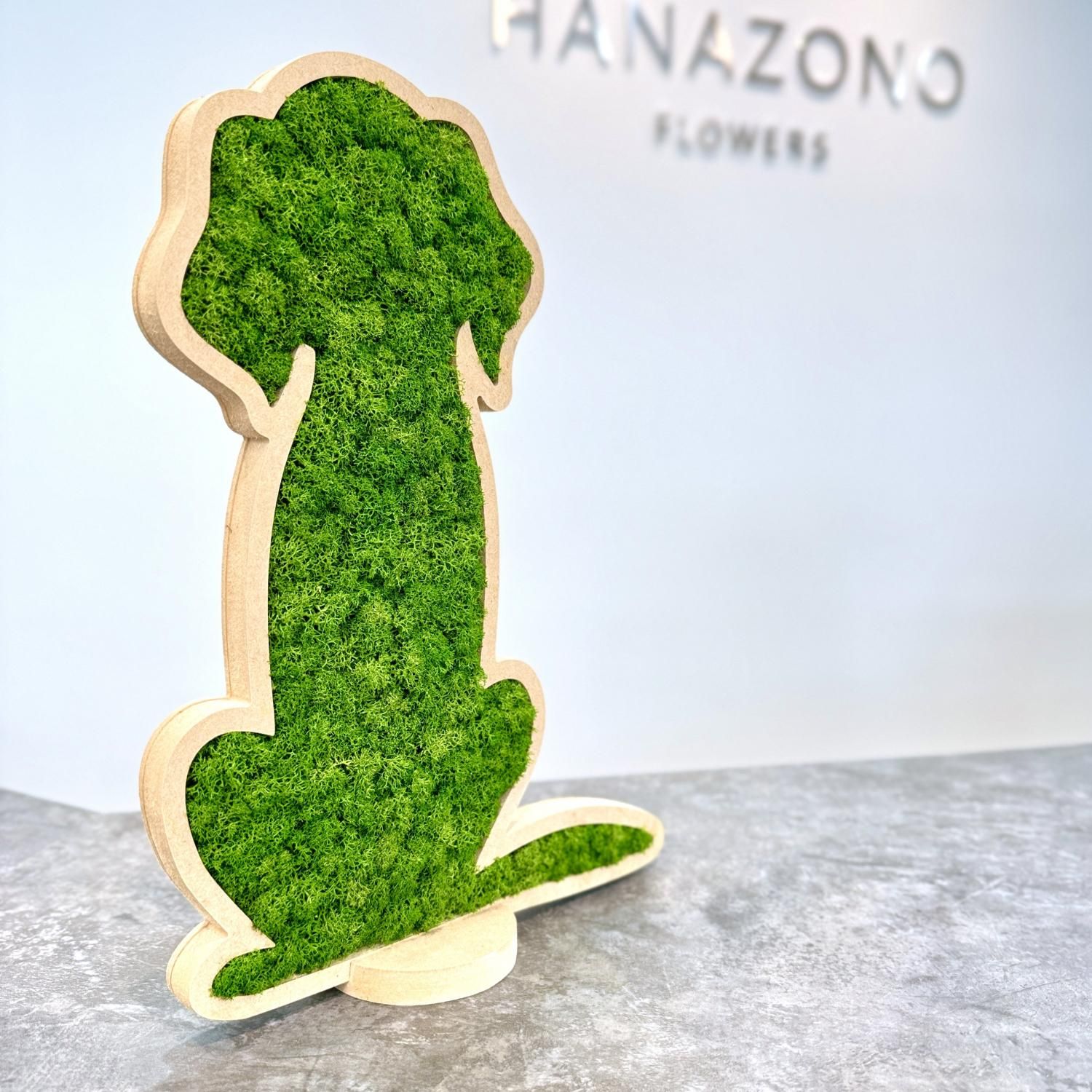 プリザーブドフラワー「モスフレーム inu」｜TERRA MOSSを使用した