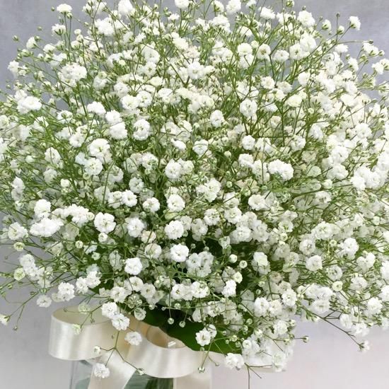 かすみ草と花々のブーケ かすみ草 のPompon ブーケ かすみ草 生花 ブーケ 花束 大分県