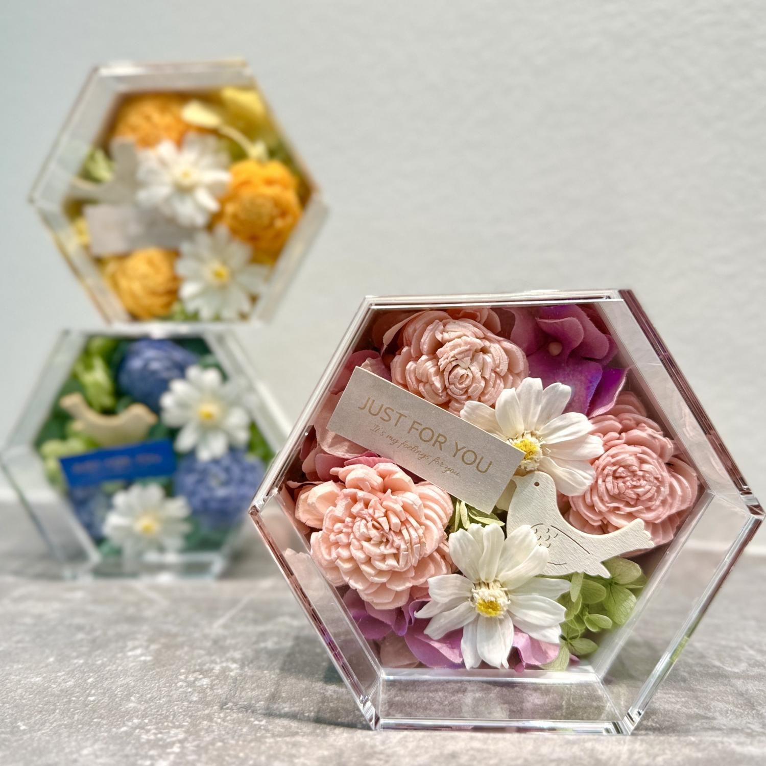 ジノリ　ボンジョルノ　フェリーチェフラワー　スープパスタプレート×3 ジノリ ボンジョルノ フェリーチェフラワー スープパスタ