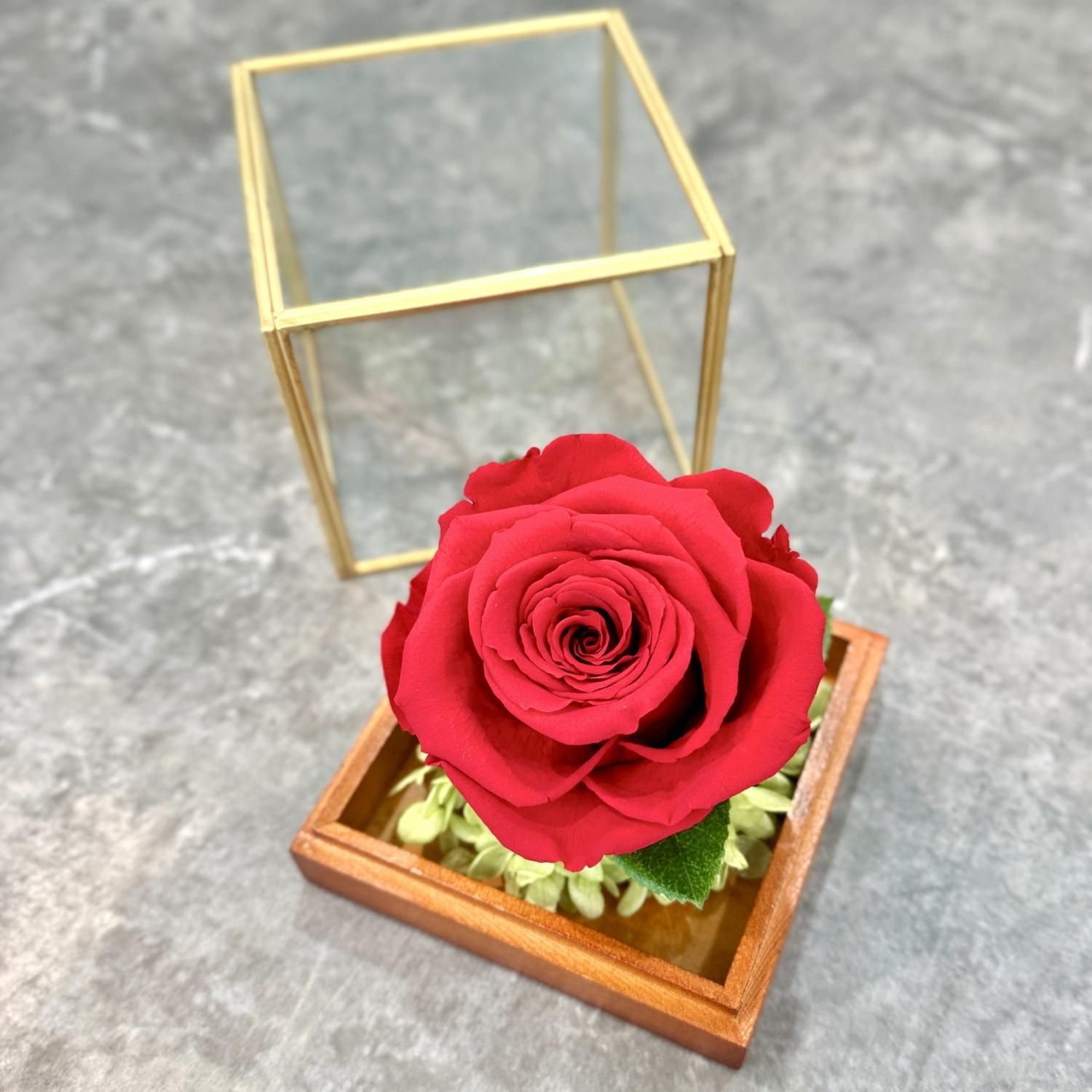プリザーブドフラワー「ワンローズキューブ」|ガラスキューブに赤い