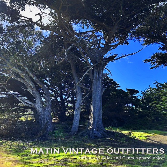 MATIN, VINTAGE OUTFITTERS ビンテージ古着 富山