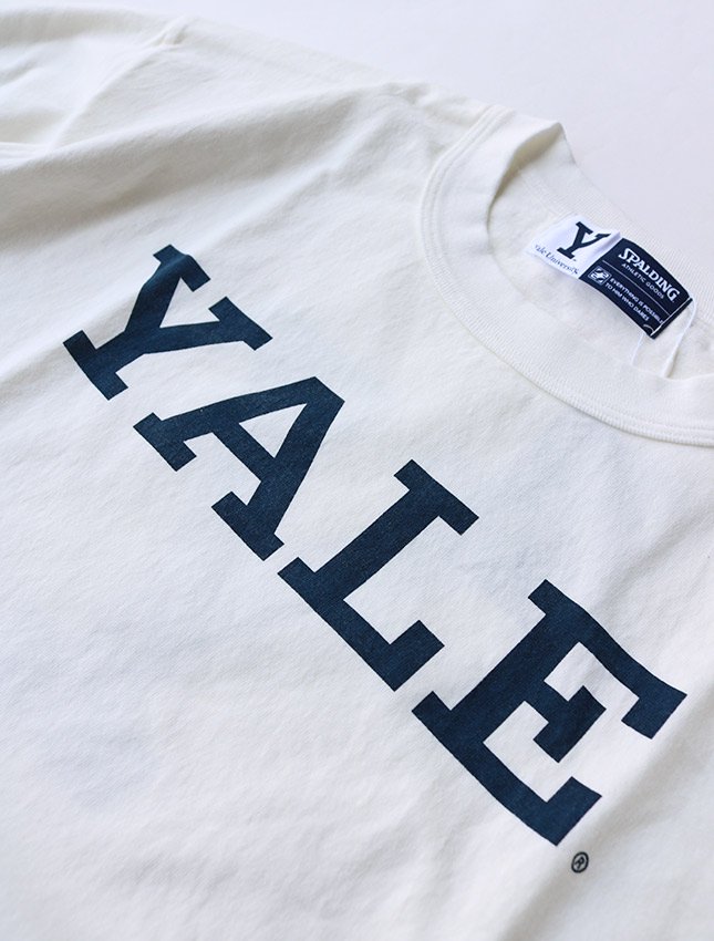 再入荷】A.G SPALDING YALE X ヘビーウェイトTシャツ - MATIN, VINTAGE