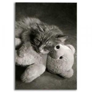 ݥȥɡϡȡԥƥǥ٥Ȥ뿲