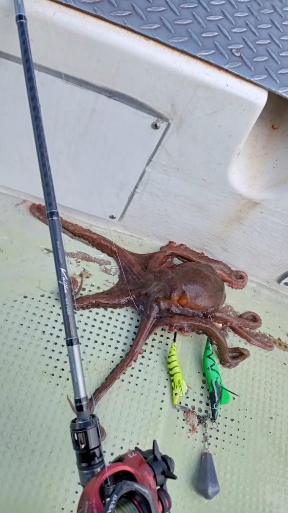 タコの恋人『和田虫』魚肉ソーセージ - アシスト工房オンラインショップ