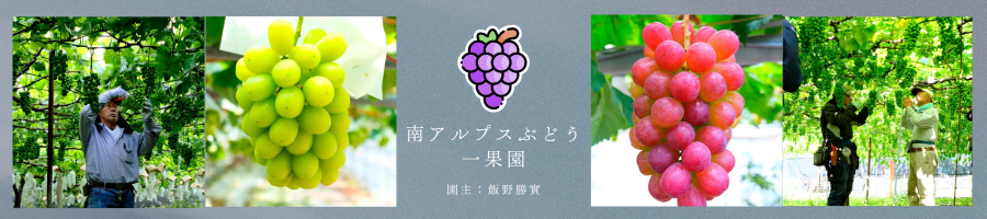 南アルプスぶどう一果園