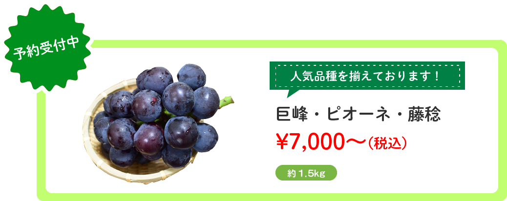 ֤ɤ3凉饤