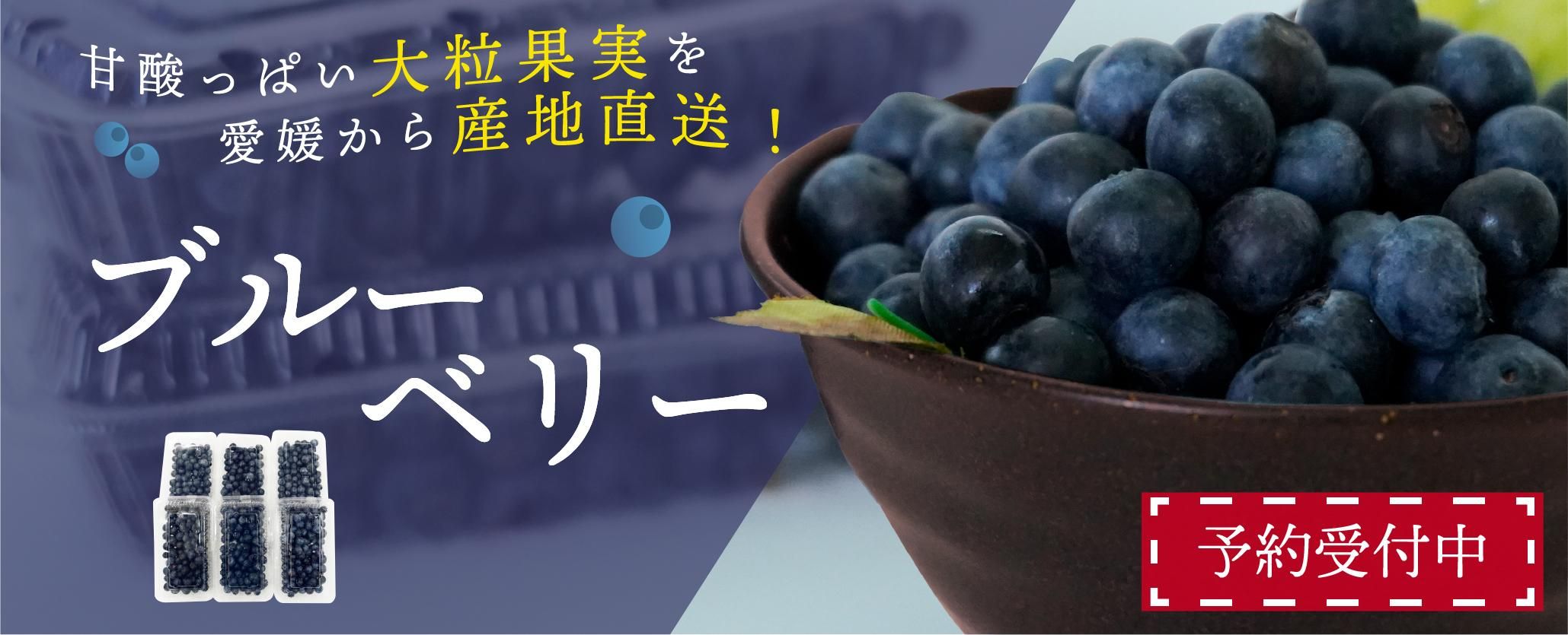 ֥롼٥꡼